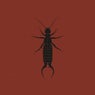 The Earwig EP