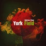 York Field