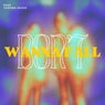 Don't Wanna Fall (Extended)