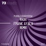 Radix (Frank Ayala Remix)