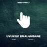 Uvukile Umalambane (feat. Kaloku & Nangoku)