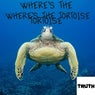 where's the tortoise