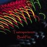 Bushfire