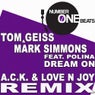 Dream On (A.C.K. & Love N Joy Remix)