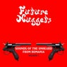 Future Nuggets: Sounds Of The Unheard From Romania, Vol. 1