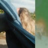 Can't find you (Extended Version)