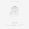 It's Gonna Right