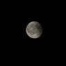 Moonbeam