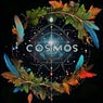 Cosmos
