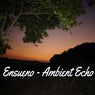 Ambient Echo