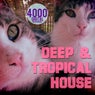 Deep & Tropical House