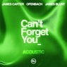 Can't Forget You (feat. James Blunt) [Acoustic]