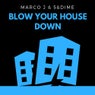 Blow Your House Down