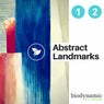 Abstract Landmarks