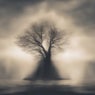 Unspoken