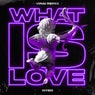 What Is Love - VINAI Extended Mix