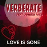 Love Is Gone (feat. Junior Paes) [Extended Version]