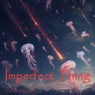 Imperfect Thing