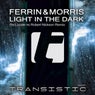 Light In The Dark (Remix)