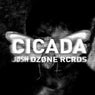 Cicada