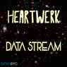 Data Stream