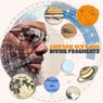 Divine Fragments