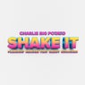 Shake It (Flamingo Remixes)