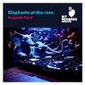 Elephants at the rave