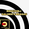 Galhos e Brasas