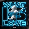 What Is Love - Devan Extended Mix