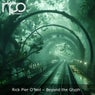 Beyond the Glyph