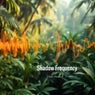 Shadow Frequency