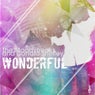 Wonderful (Incl. Mummified Mix)