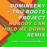 Nobody Can Hold Me Down (Remix)