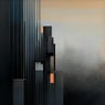 Synthetic Dawn