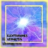 Elektronomes Verhalten, Vol. 2