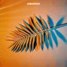 Palm Leaf