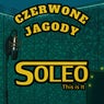 Czerwone Jagody