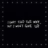 I Can't Find the Way, but I Won't Give Up