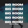 Big Room Music 2021