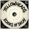 Echoes of Decay