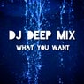 WHAT YOU WANT