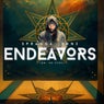 Endeavors