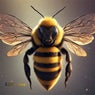 Edm - Bee