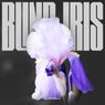 Blind Iris