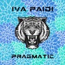 Pragmatic