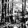 LANDSCAPES: SWAMP