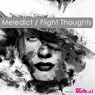 Flight Thoughts