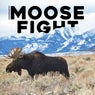 Moose Fight