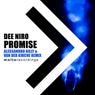 Promise (Alessandro Billy & Van Der Kirche Remix)